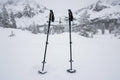 Trekking Pole Replacement Baskets — Snow, Sand & Powder Compatible (Pair)